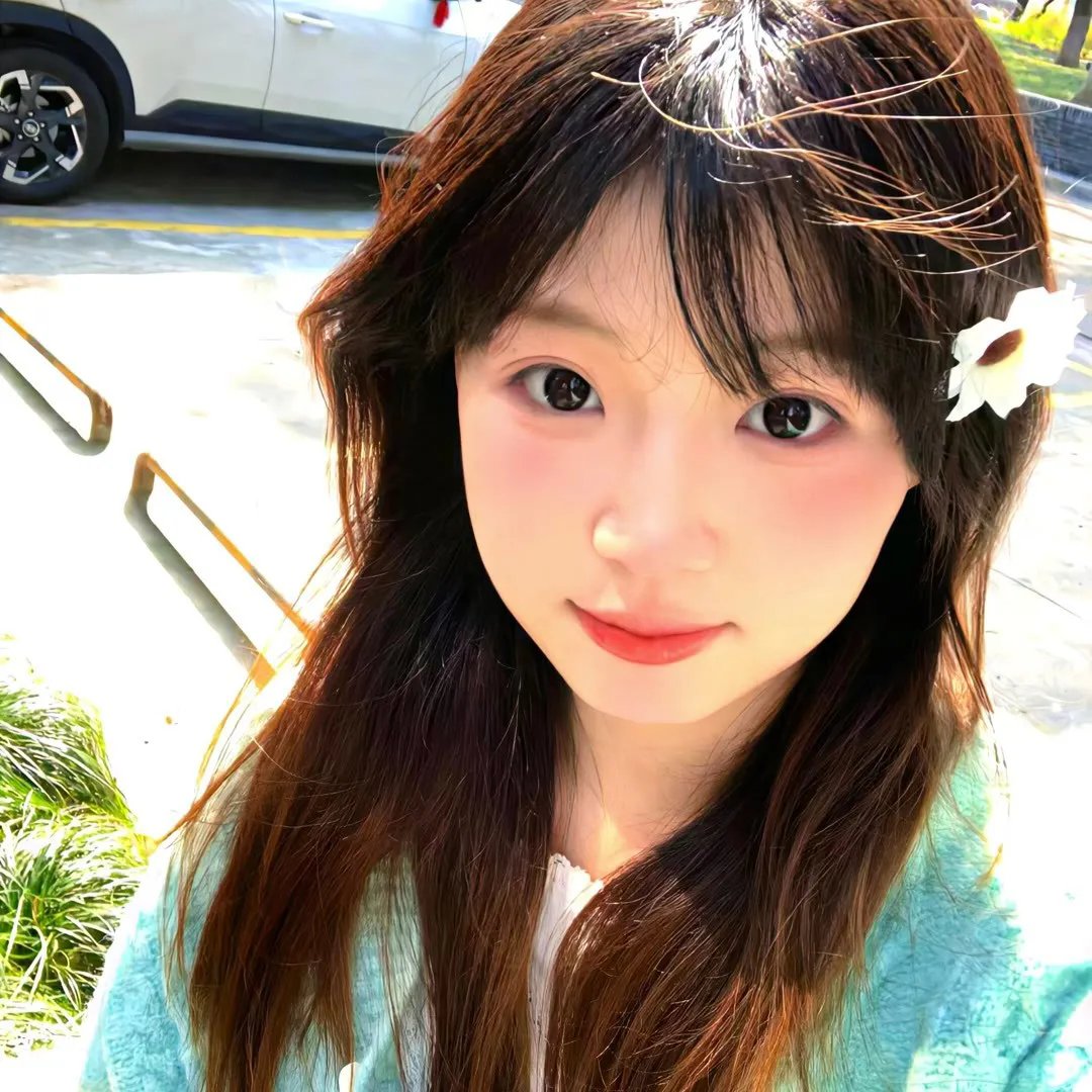 沉默的伙伴